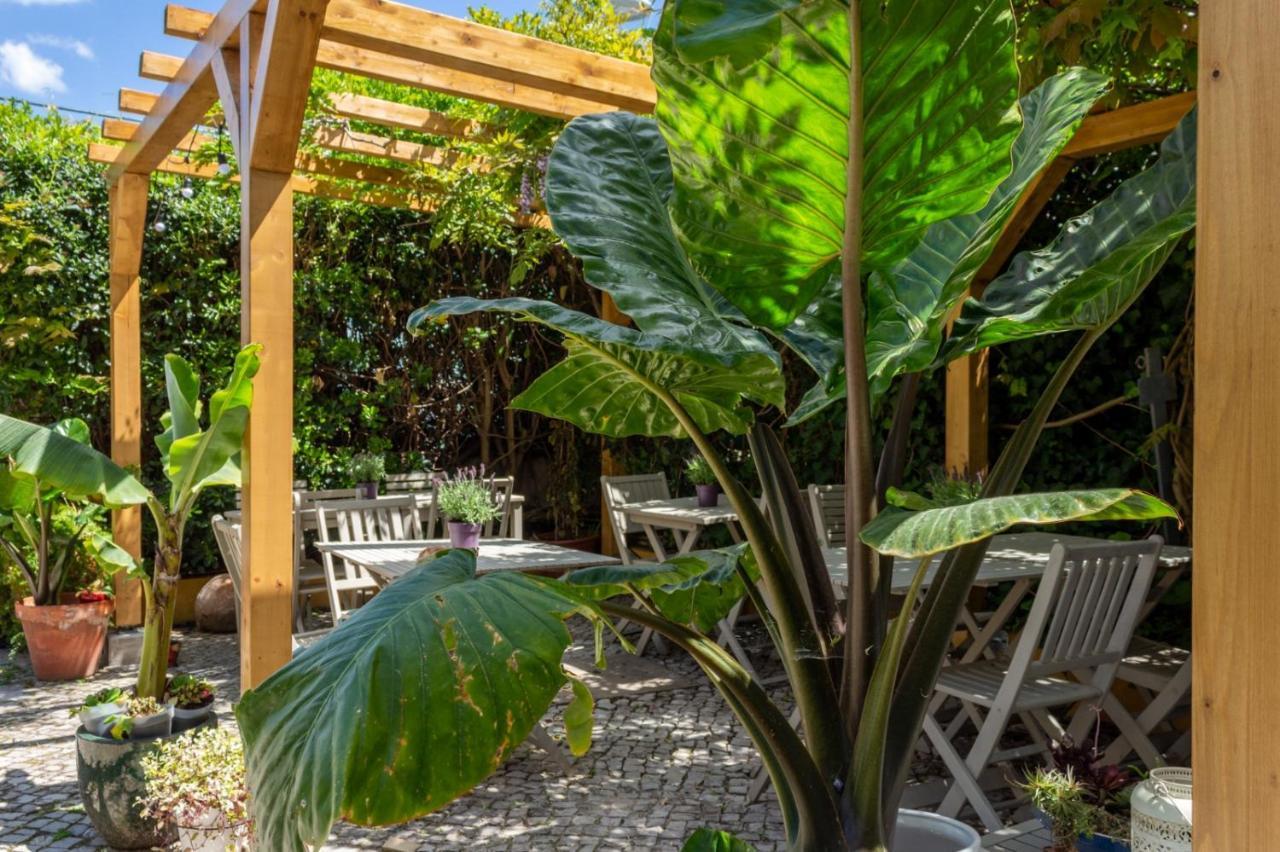 Casa Da Adoa B&B Portinho da Arrábida Kültér fotó