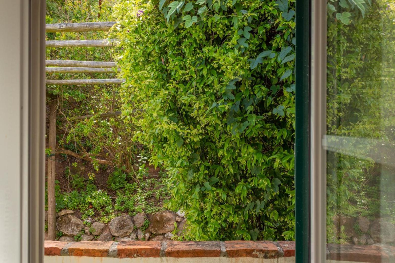 Casa Da Adoa B&B Portinho da Arrábida Szoba fotó