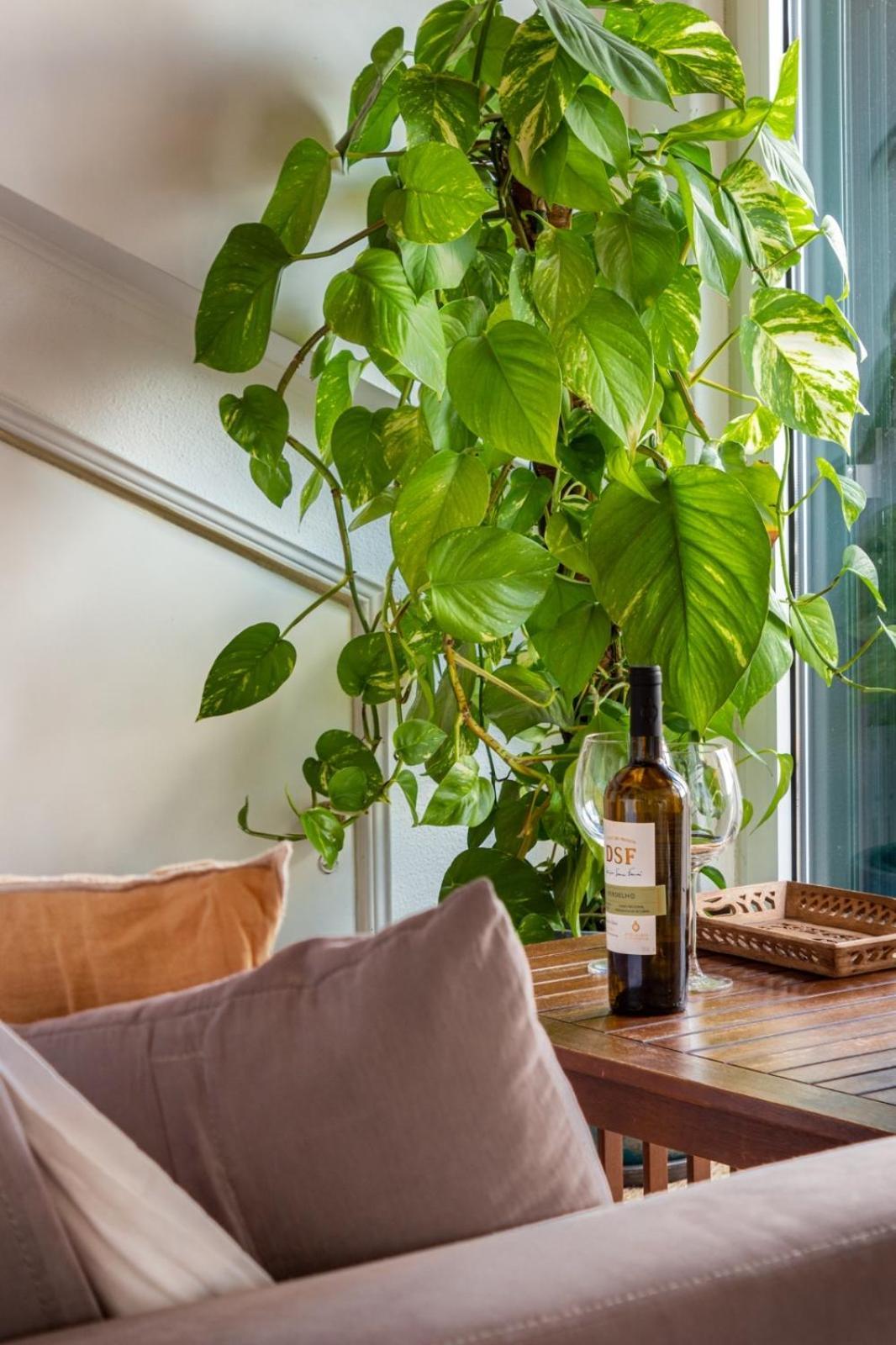 Casa Da Adoa B&B Portinho da Arrábida Szoba fotó